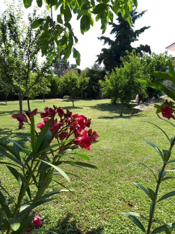 Villa George Áfitosz Kültér fotó
